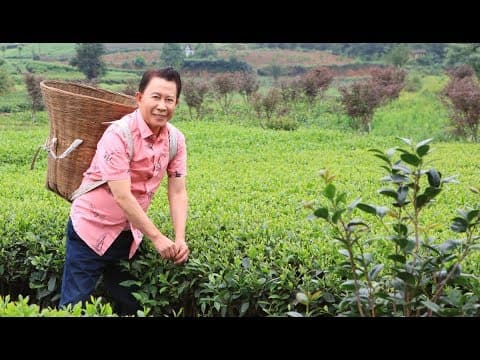 Yan Can Cook: Spice Kingdom | preview