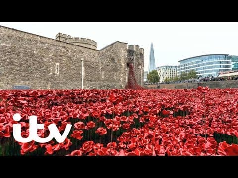 Britain's Poppies: The First World War Remembered Trailer