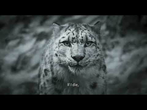 Snow Leopard - Pema Tseden - Bande-annonce