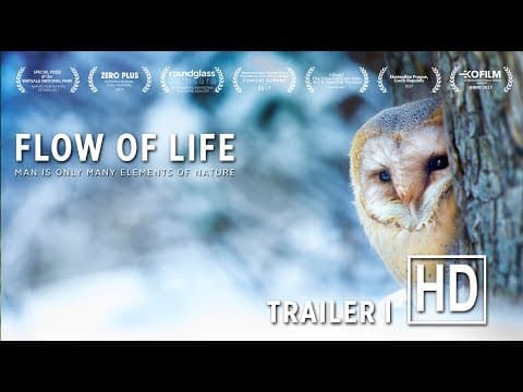 Official Trailer #1 (HD)