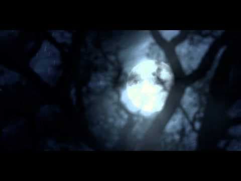 Festival Trailer