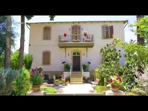 גויאבות טריילר 2.7.15 בקולנוע