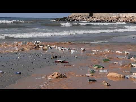 We made every living thing from water - Trailer