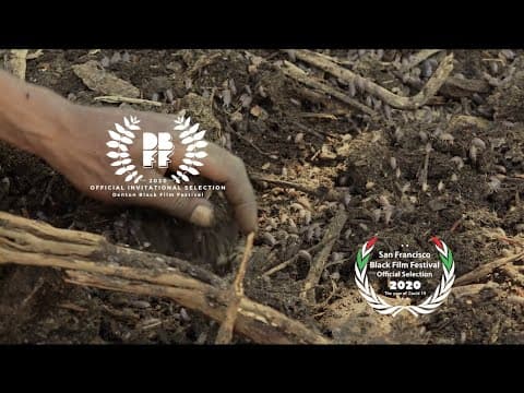 TRAILER for Follow the Drinking Gourd
