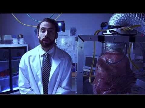 STRANGE BLOOD Official Trailer