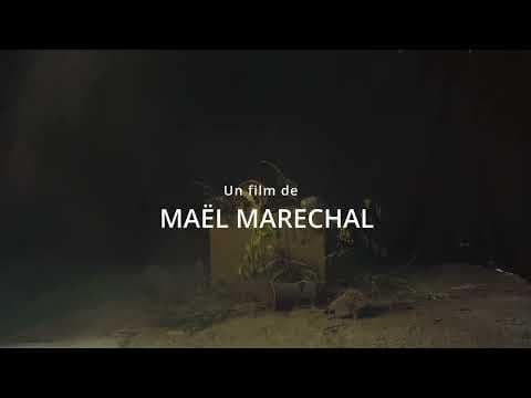 Succession - Teaser