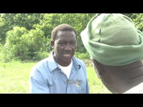South Sudan Movie, Jebel Nyoka