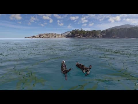 Habitat Earth (Trailer) | California Academy of Sciences