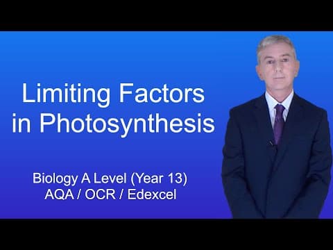 A Level Biology Revision (Year 13) "Limiting Factors in Photosynthesis"