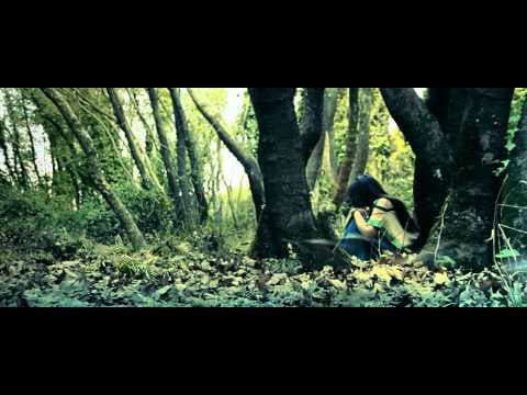 The Dragonphoenix Chronicles: Indomitable -  Teaser Trailer #1  [HD]
