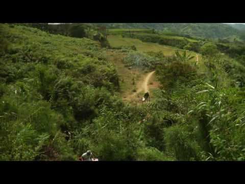 24K The Movie Trailer