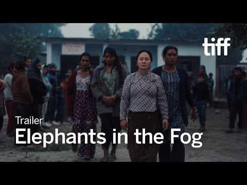 ELEPHANTS IN THE FOG Trailer | TIFF 2026