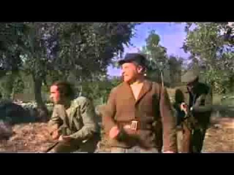 ss hell camp (aka: beast in heat) trailer