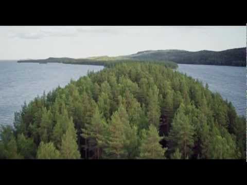 Tale of a Forest