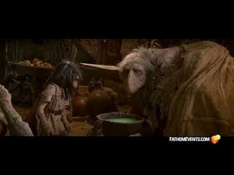 40 Anniversary Spot