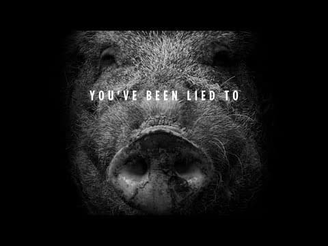 HOGWOOD: a modern horror story. Now Streaming! 1 Minute Trailer