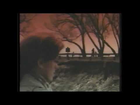 The Last Best Year (1990) trailer