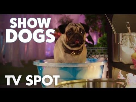 "Harier-Scarier Nick" TV Spot