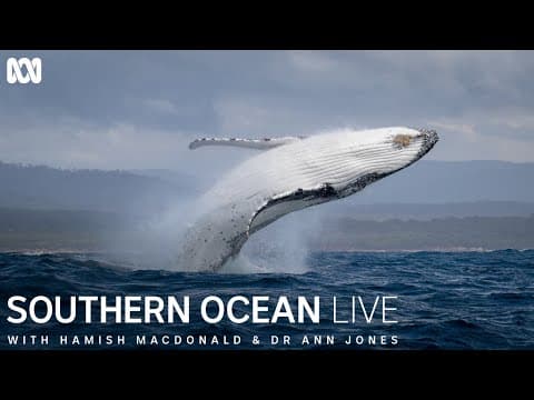 Southern Ocean Live | First Look