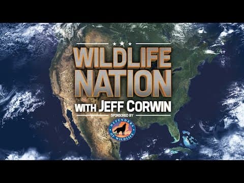 Wildlife Nation Sneak Preview