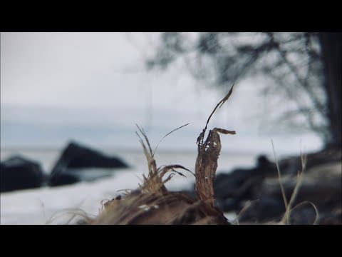 Nieve derritiéndose | 6°