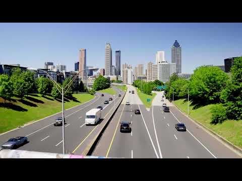 The Tree Economy Official Trailer