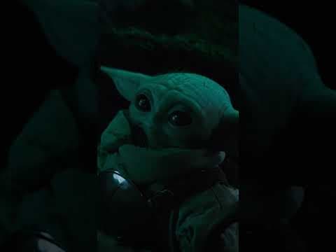 Fireflies