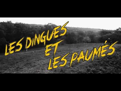 TEASER Les Dingues et les Paumés