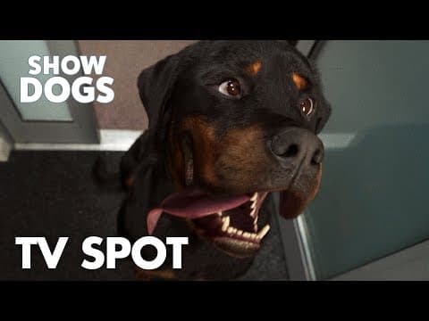 "Bow Wow Review" TV Spot