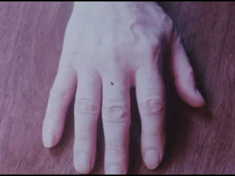 "Carl Th. Dreyer" in "Walden" (1969), by Jonas Mekas