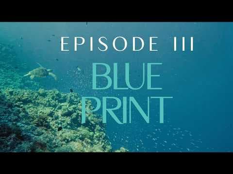 CHOOSE EARTH III - BLUE PRINT