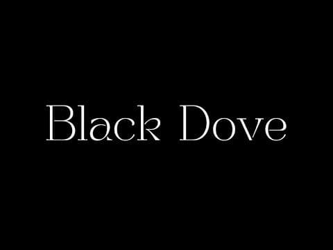 Black Dove | Teaser