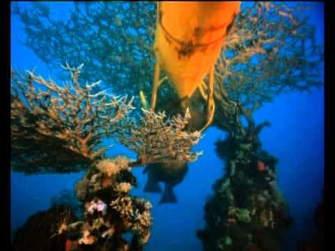 The Cousteau Collection - The Silent World - Trailer