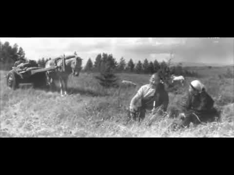 Хөх ногооны униар МУСК (Монгол киноны сэтгэлд хоногшсон хэсгүүдээс)
