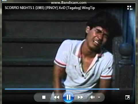 scorpion nights