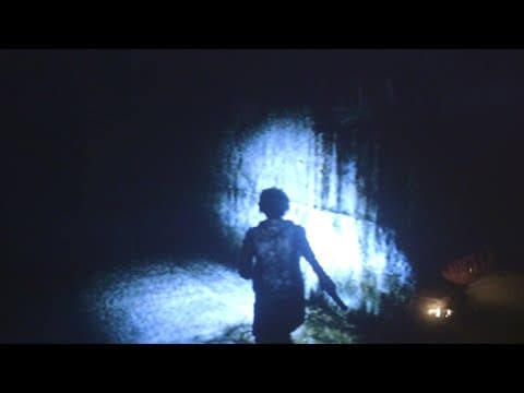 Gargoyle (2017)
