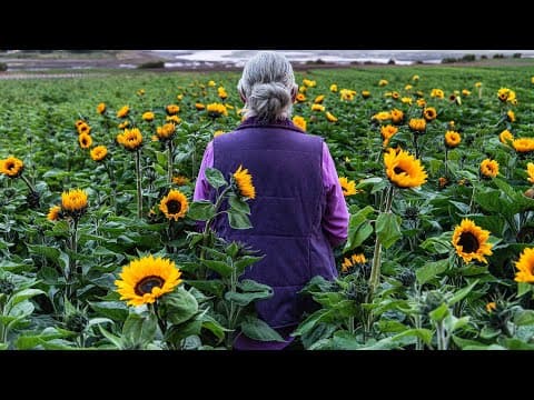 Sunphlowers (2025) - Official Trailer