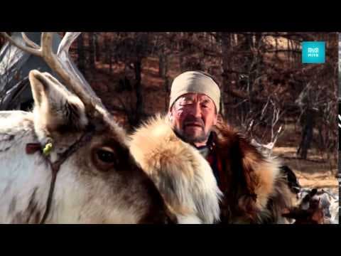 Тэнгэрийн хүү / Tengeriin khuu