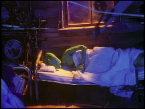 GREENER - trailer