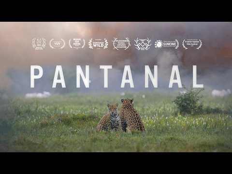 Pantanal – Trailer