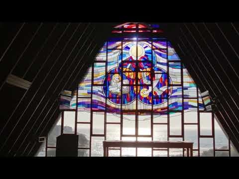 Alofa Trailer│Doc Edge Festival 2025