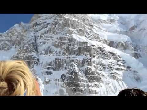 Moonflower - Trailer