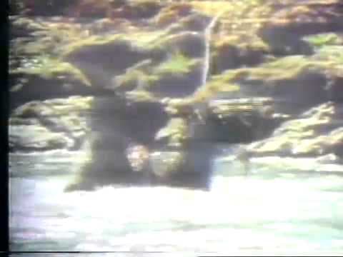 Sasquatch The Legend Of Bigfoot 1977 TV Trailer