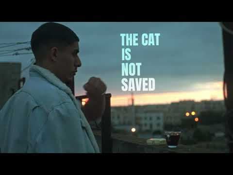 The cat is not saved | The film Teaser