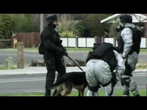 OPERATION 8 - Trailer