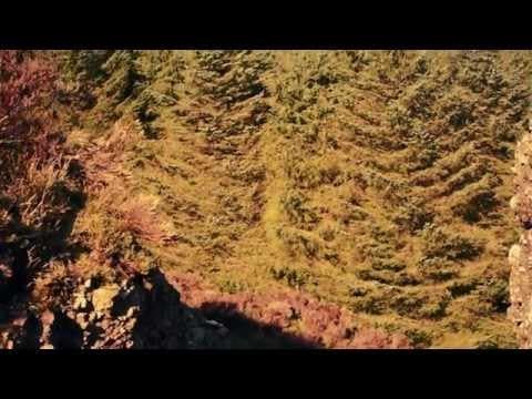 Territorial Behavior - Official HD Trailer #3 (2015)