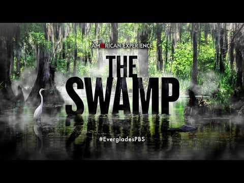 The Swamp | Coming to American Experience
