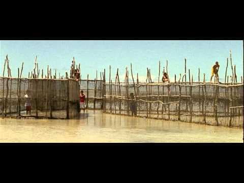 Trailer "Sem Coração" - Mostra competitiva - Festival de Brasília do Cinema Brasileiro