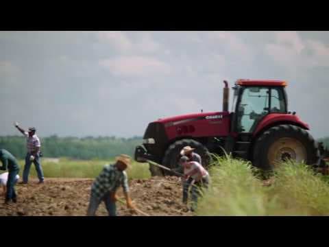 Queen Sugar on OWN Premieres September 7th