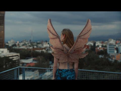 La era de las plantas con flor – trailer | IFFR 2025